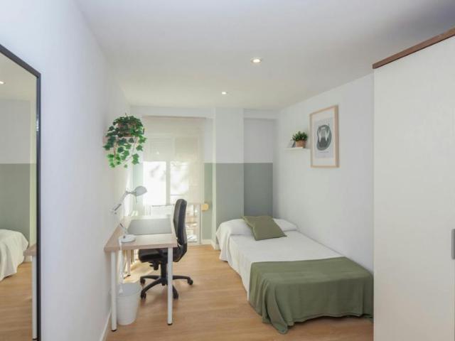 1 Dormitorio Shared Living/Roommate Valencia Valencia 101843117