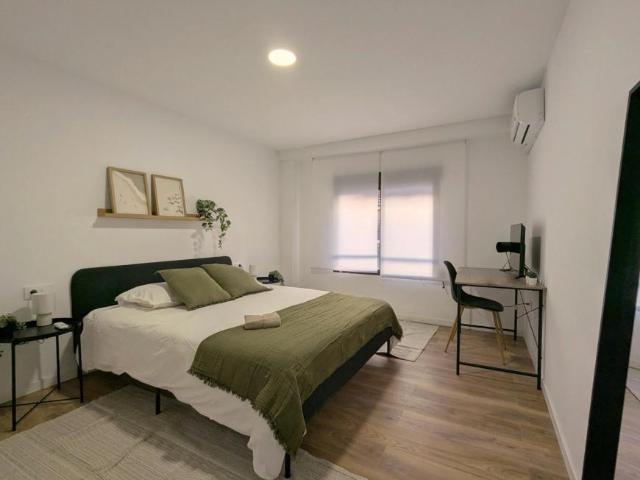 1 Dormitorio Shared Living/Roommate Valencia Valencia 102630009