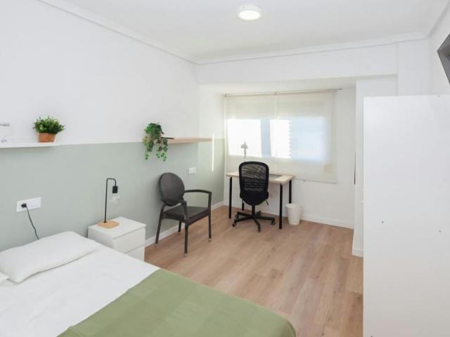 1 Dormitorio Shared Living/Roommate Valencia Valencia 102630205