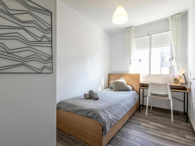 1 Dormitorio Shared Living/Roommate Valencia Valencia 102850050