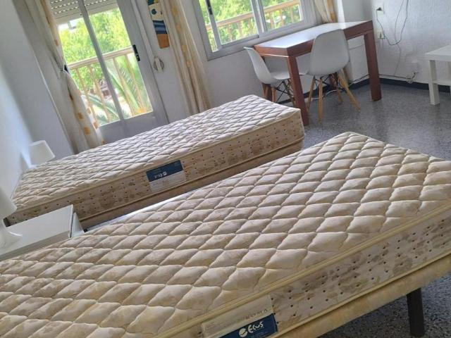 1 Dormitorio Shared Living/Roommate Valencia Valencia 103396547