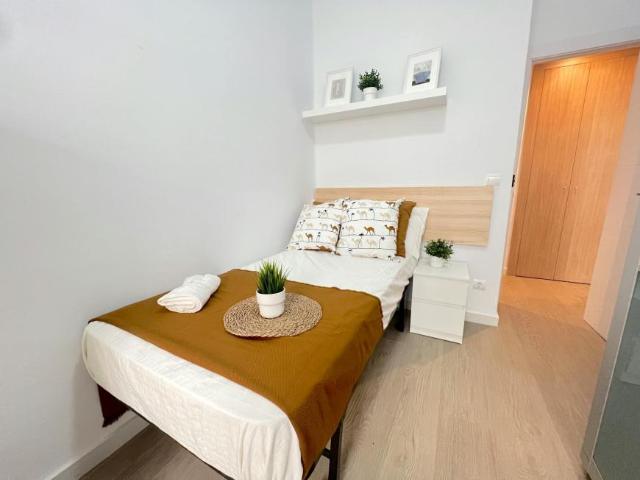 1 Dormitorio Shared Living/Roommate Valencia Valencia 103488389