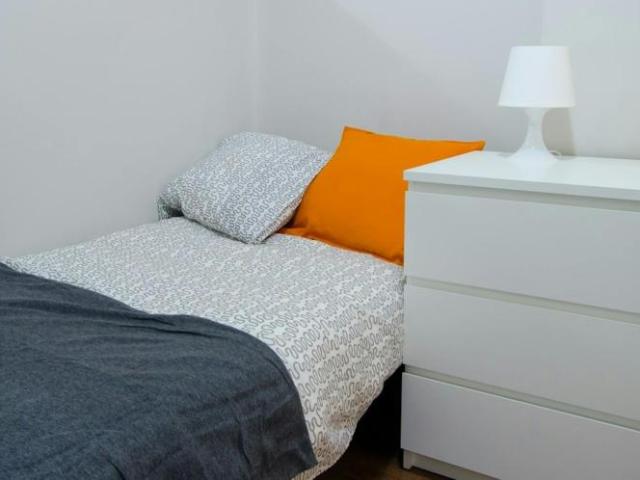 1 Dormitorio Shared Living/Roommate Valencia Valencia 103544565