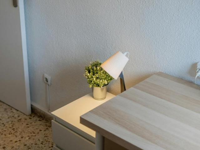 1 Dormitorio Shared Living/Roommate Valencia Valencia 104682471