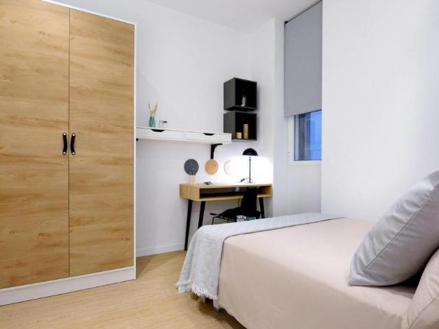 1 Dormitorio Shared Living/Roommate Valencia Valencia 95266661
