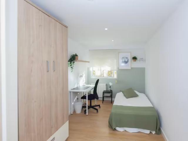 1 Dormitorio Shared Living/Roommate Valencia Valencia 95916920