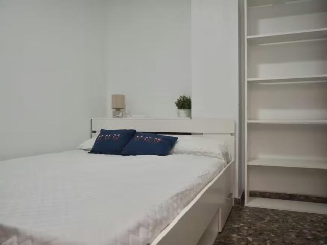 1 Dormitorio Shared Living/Roommate Valencia Valencia 96741734