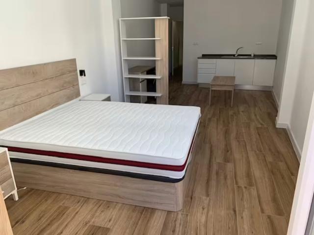 1 Dormitorio Shared Living/Roommate Valencia Valencia 97163833