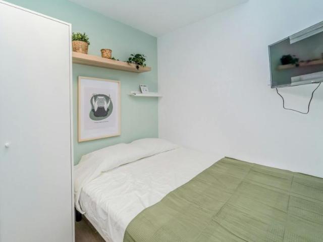 1 Dormitorio Shared Living/Roommate Valladolid Valladolid 100718188