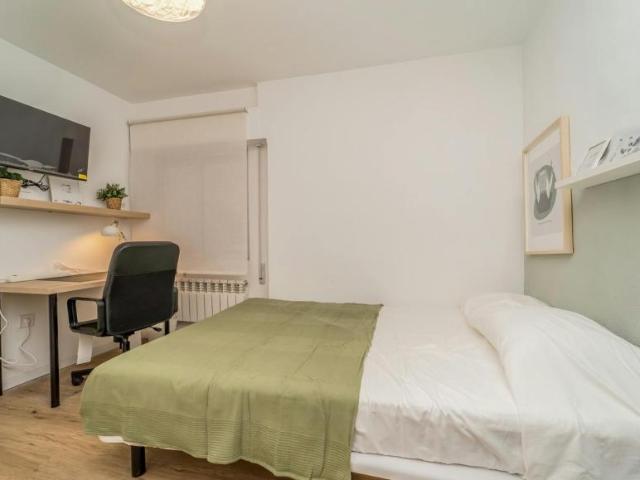 1 Dormitorio Shared Living/Roommate Valladolid Valladolid 102661872