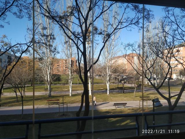 1 Dormitorio Shared Living/Roommate Zaragoza Zaragoza LS65791184