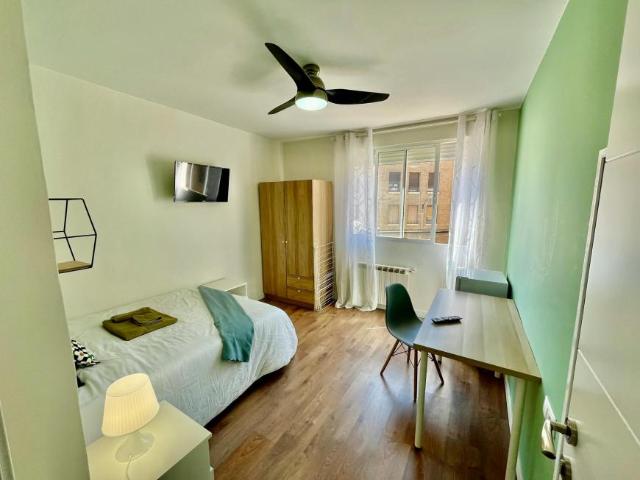 1 Dormitorio Shared Living/Roommate Zaragoza Zaragoza 104784034