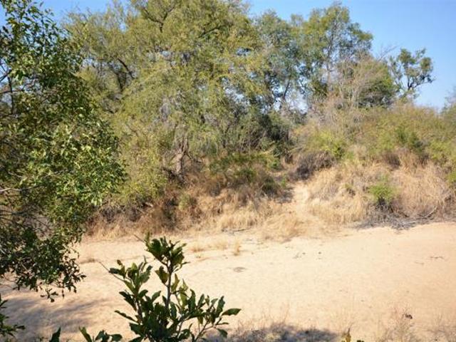 1 ha Land available in Moditlo Wildlife Estate