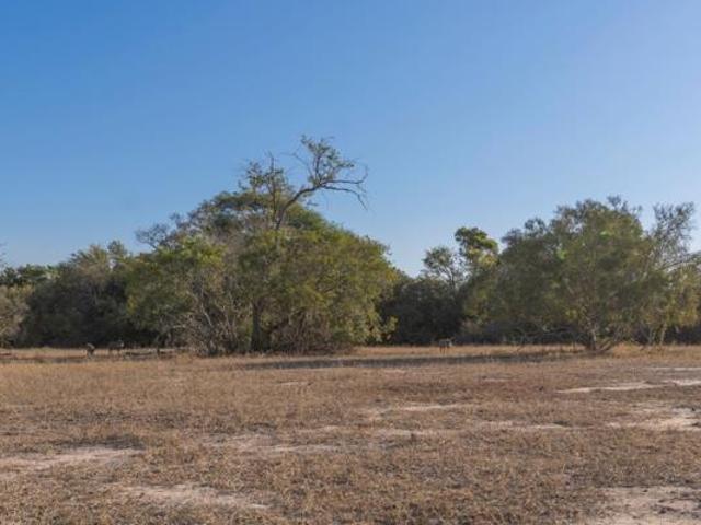 1 ha Land available in Moditlo Nature Reserve