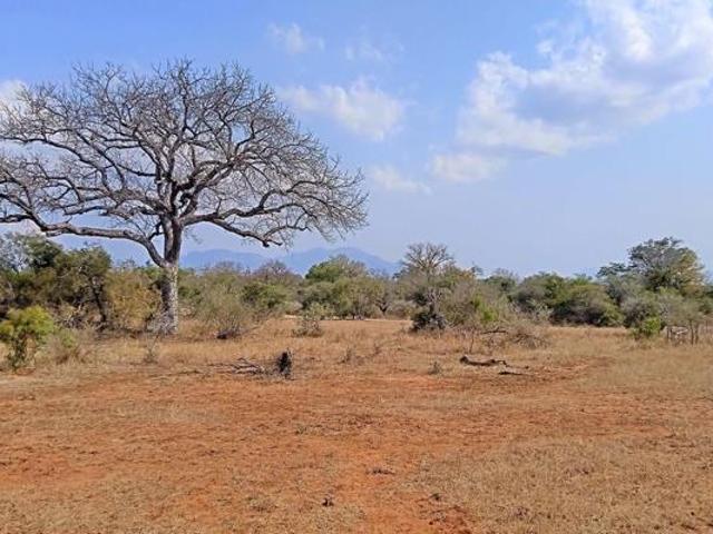 1 ha Land available in Moditlo Nature Reserve