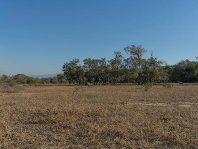 1 ha Land available in Moditlo Wildlife Estate