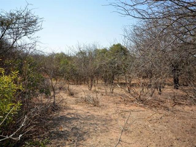 1 ha Land available in Moditlo Nature Reserve
