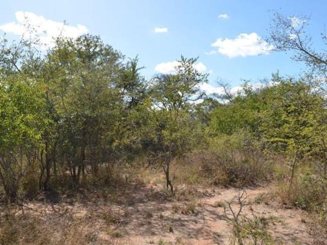 1 ha Land available in Moditlo Nature Reserve