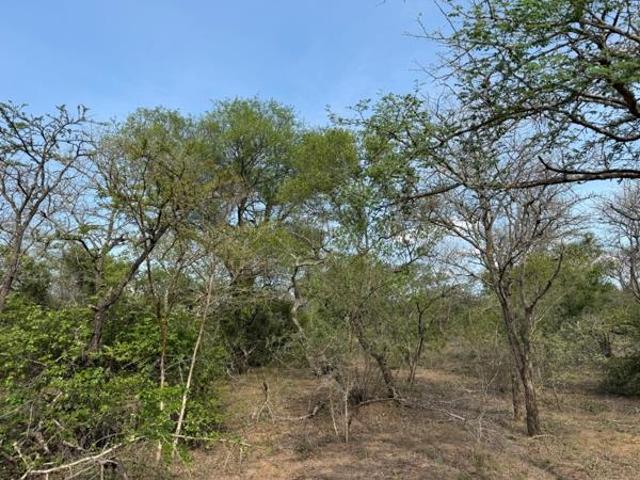 1 ha Land available in Moditlo Wildlife Estate