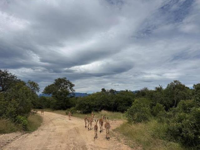 1 ha Land available in Moditlo Wildlife Estate