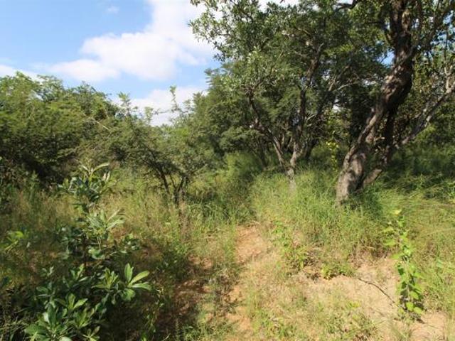 1 ha Land available in Moditlo Wildlife Estate