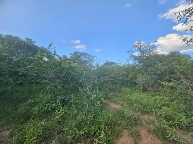 1 ha Land available in Moditlo Wildlife Estate