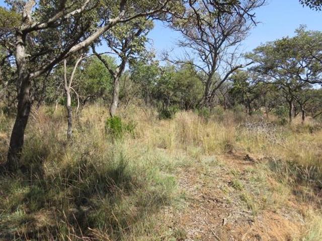 1 ha Land available in Modimole Nylstroom