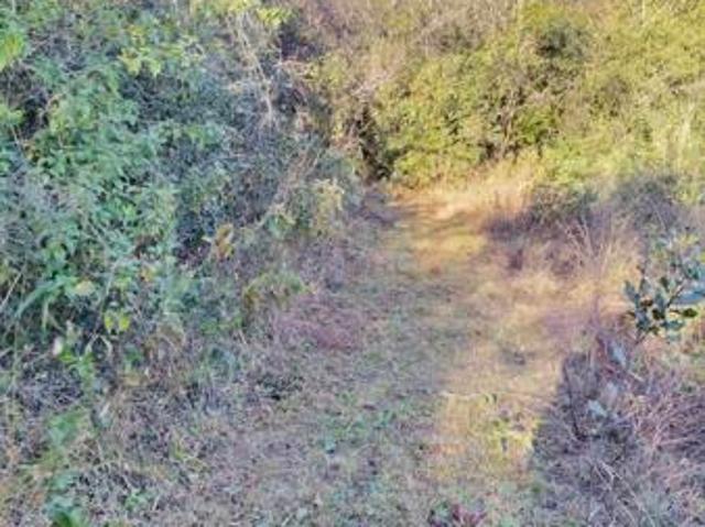 1 ha Land available in Nelspruit Mbombela Outlying