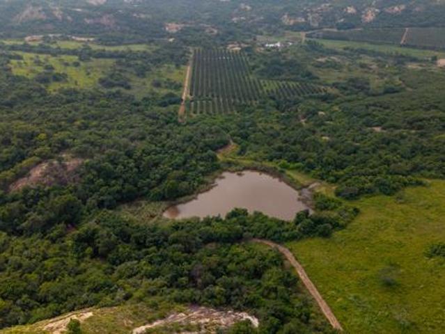 1 ha Land available in Alkmaar