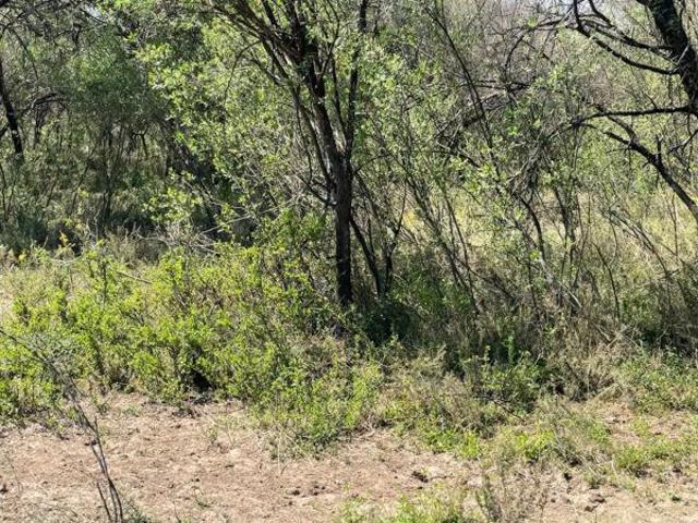 1 ha Land available in Bothaville Outlying