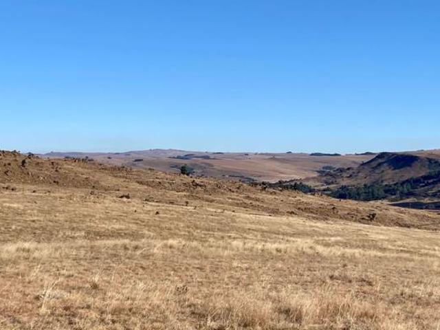 1 ha Land available in Dullstroom