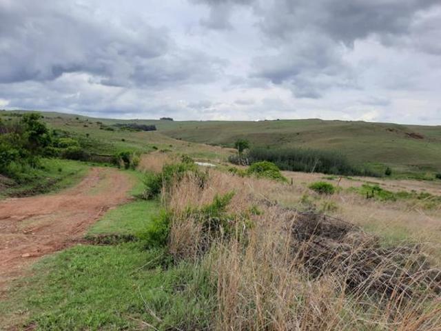 1 ha Land available in Dullstroom