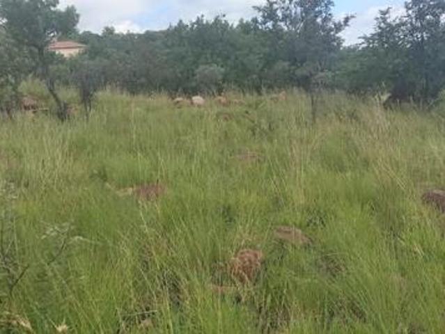 1 ha Land available in Elandsrand