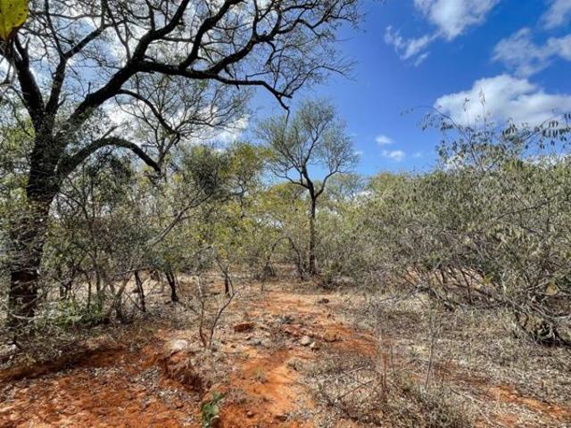 1 ha Land available in Hoedspruit