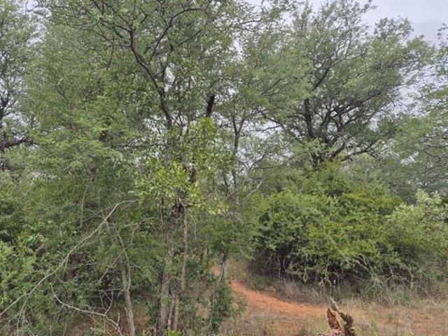1 ha Land available in Hoedspruit