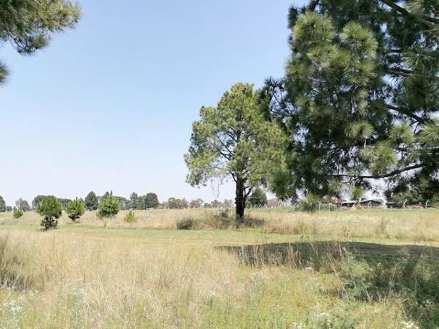 1 ha Land available in Homestead Apple Orchards