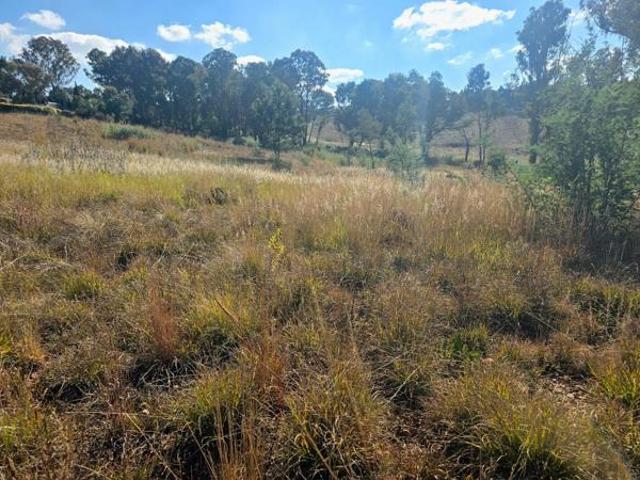 1 ha Land available in Homestead Apple Orchards