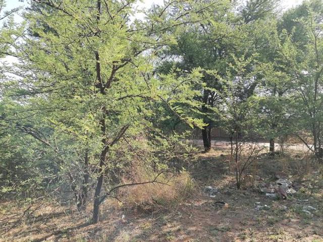 1 ha Land available in Homestead Apple Orchards