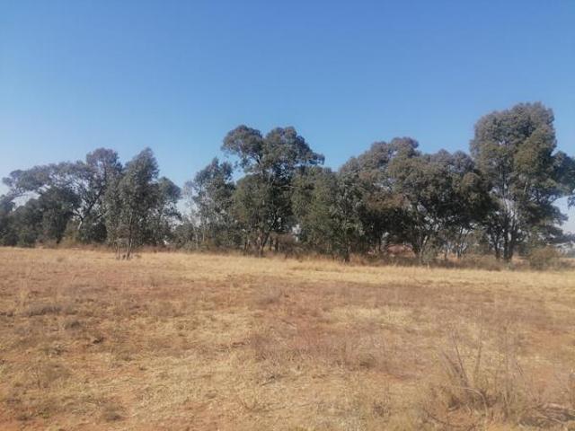 1 ha Land available in Homestead Apple Orchards