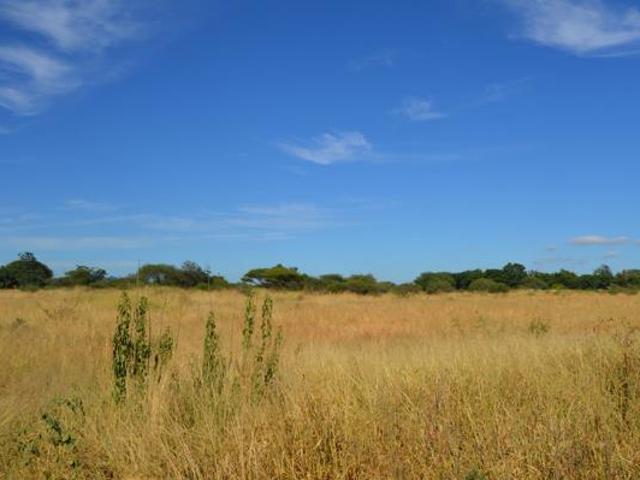 1 ha Land available in Ivydale
