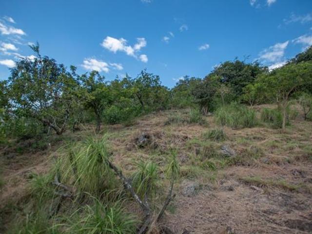 1 ha Land available in The Rest Nature Estate
