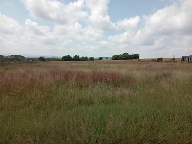 1 ha Land available in Walkerville