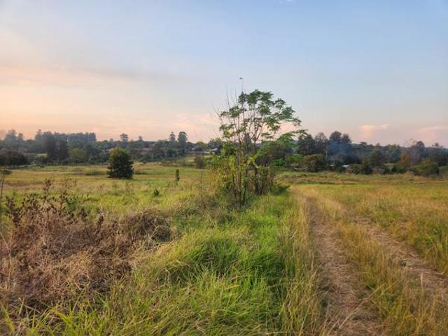 1 ha Land available in White River AH