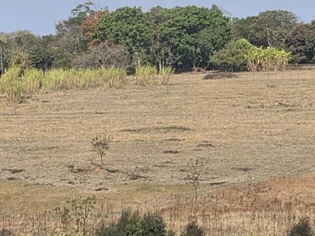 1 ha Land available in White River