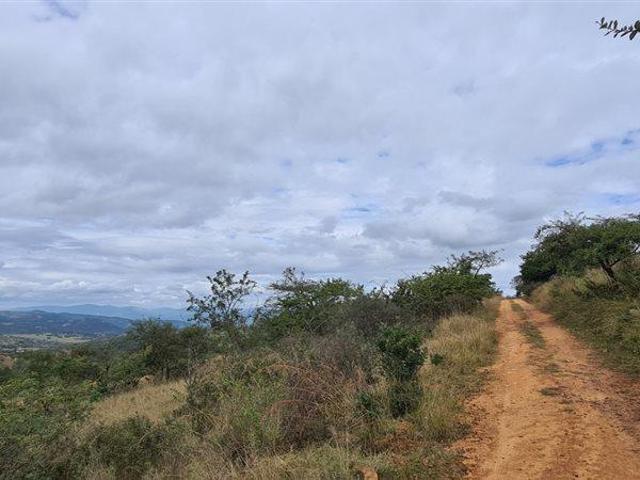 1 ha Land available in Wild Fig Country Estate