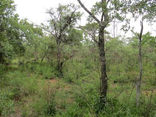 1 ha Land available in Zebula Golf Estate