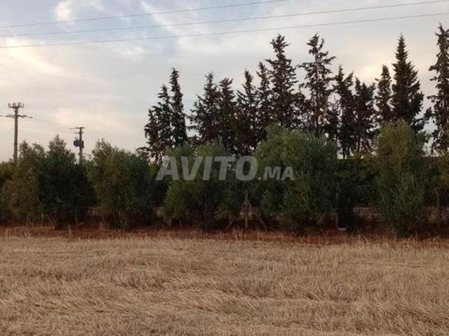 1 hectare sur la route