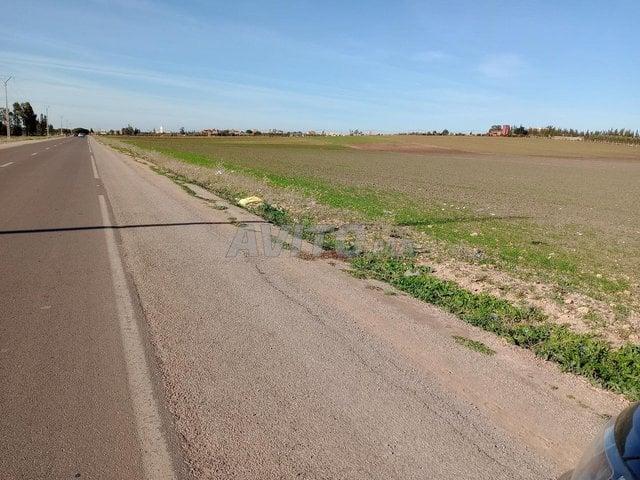 Terrain Benslimane Route Principale