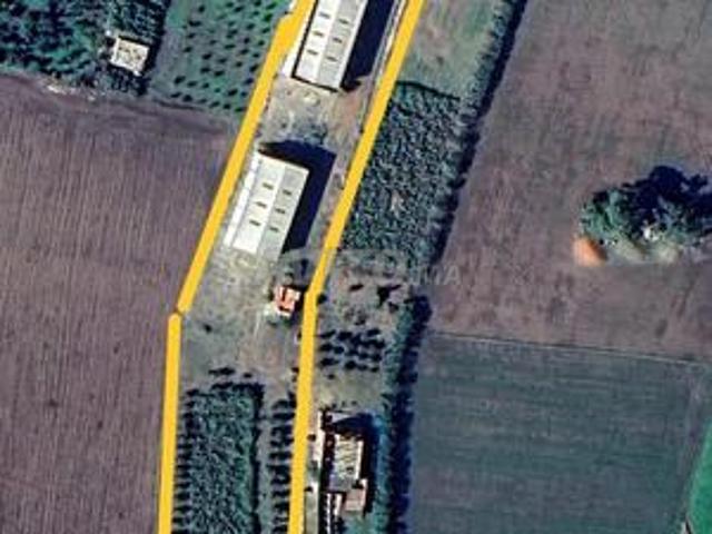 1 hectare