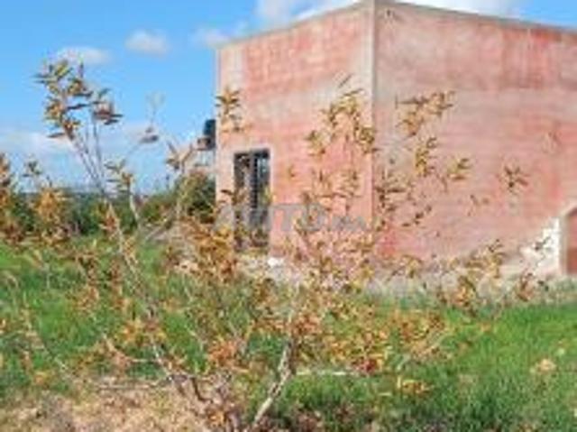 1 hectare avec villa à vendre